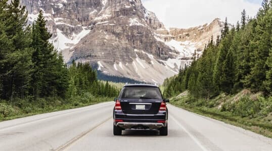 Car rental business-hero-image